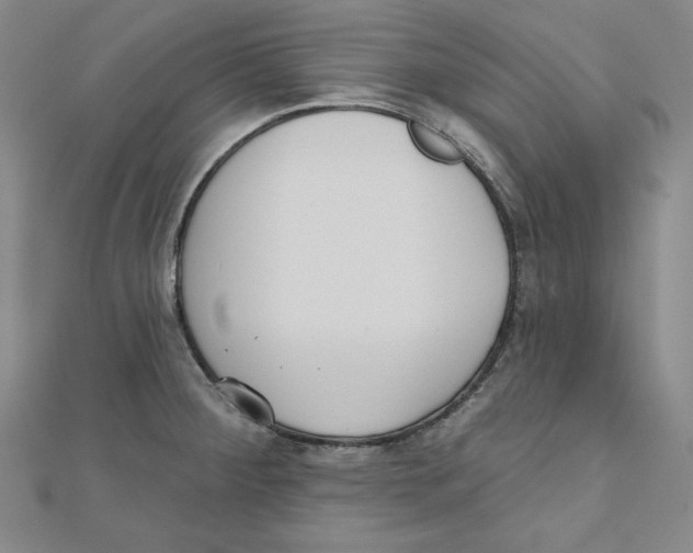 X0000111481284200908111153