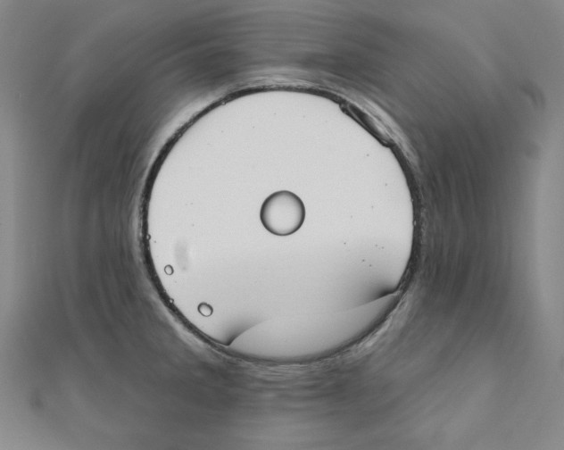 X0000111481285200908111153