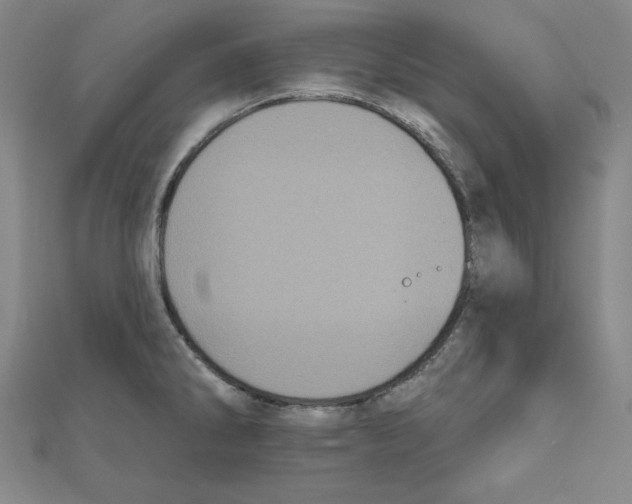 X0000111481286200908111153