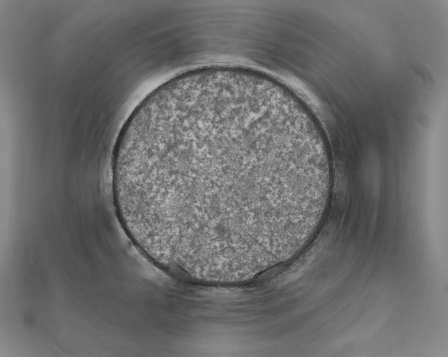X0000111481287200908111153