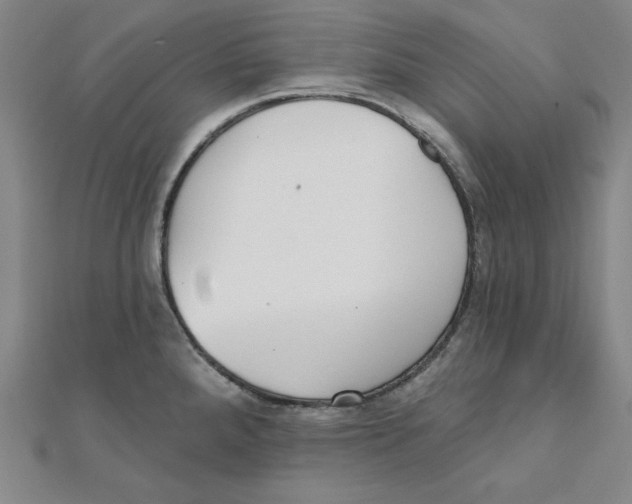 X0000111481288200908111153