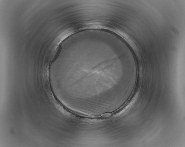 X0000111481289200908111153