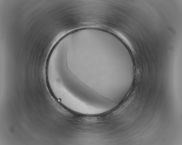 X0000111481291200908111153