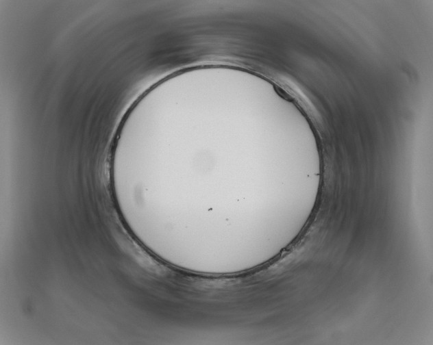 X0000111481292200908111153
