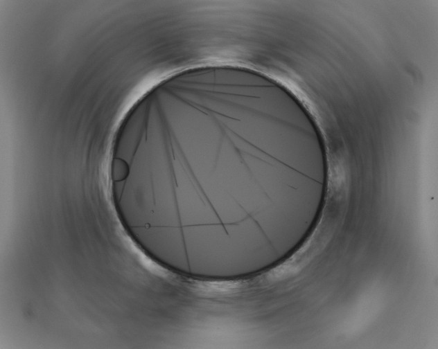 X0000111481294200908111153