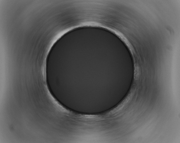 X0000111481295200908111153