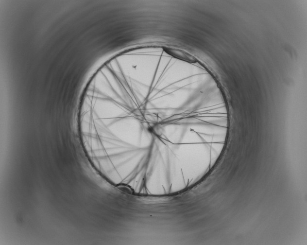 X0000111481296200908111153