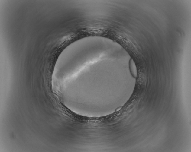 X0000111481297200908111152