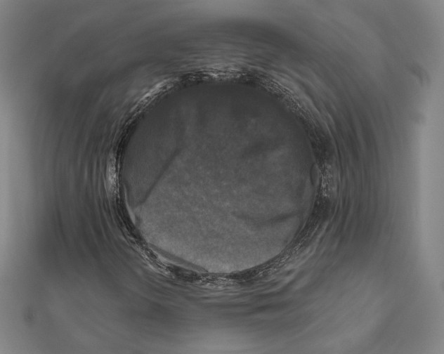X0000111481298200908111152