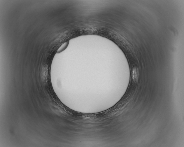 X0000111481299200908111152