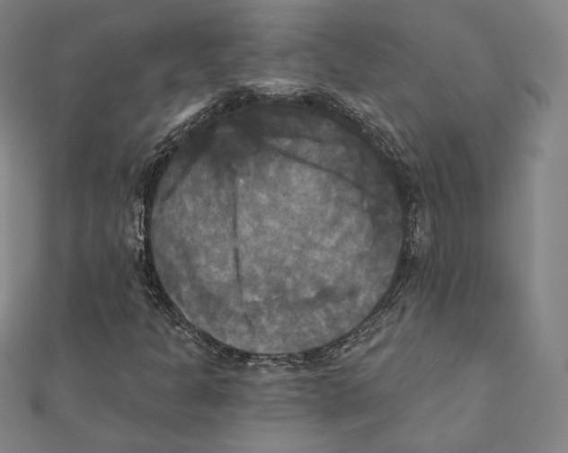 X0000111481301200908111152