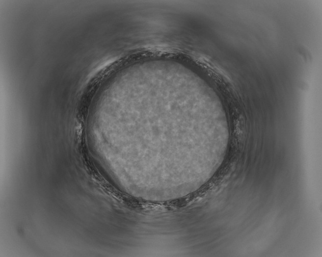 X0000111481302200908111152