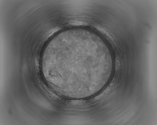 X0000111481305200908111152