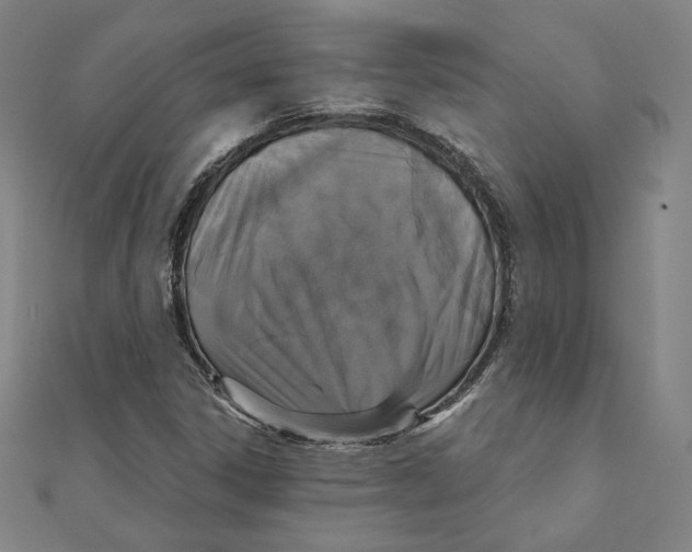 X0000111481306200908111152