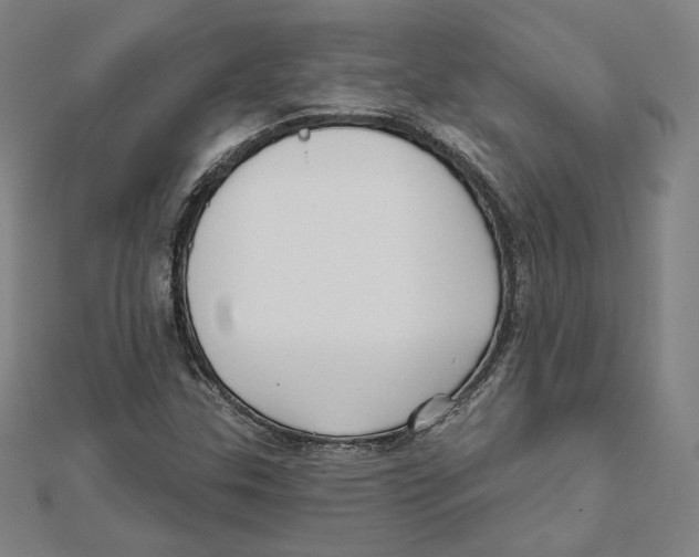 X0000111481307200908111152