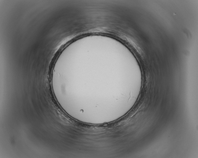 X0000111481308200908111152
