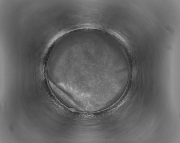 X0000111481310200908111152