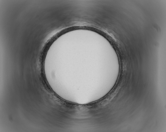 X0000111481311200908111152