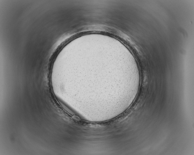 X0000111481312200908111152