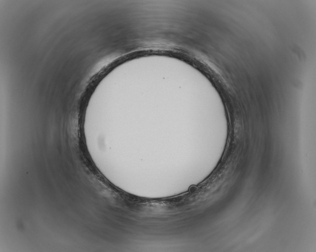 X0000111481315200908111152