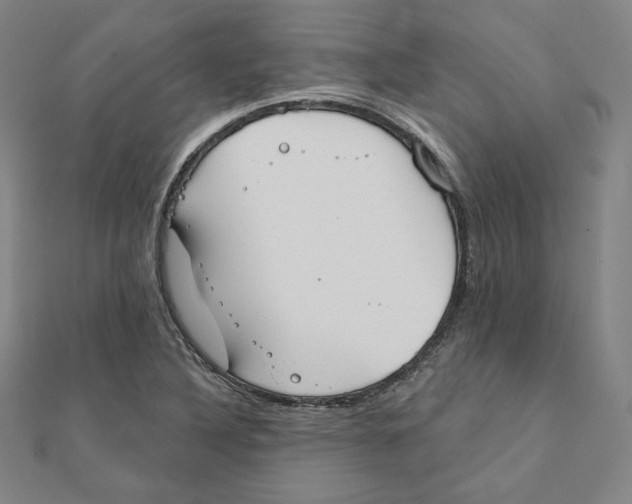 X0000111481316200908111152