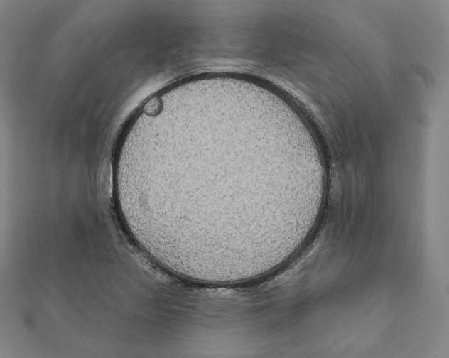 X0000111481317200908111152