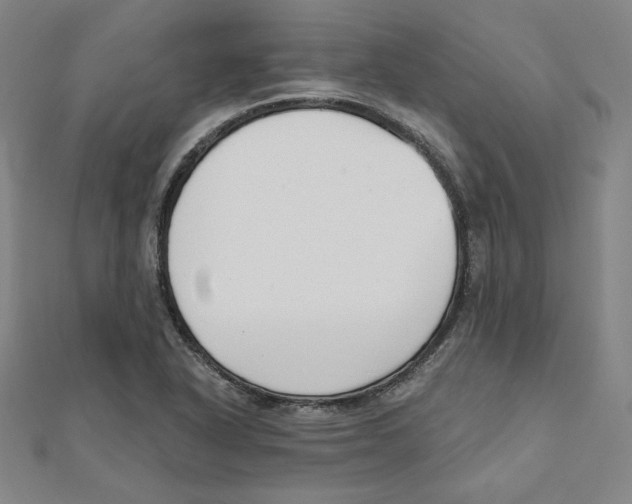 X0000111481318200908111152