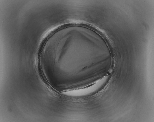 X0000111481319200908111152