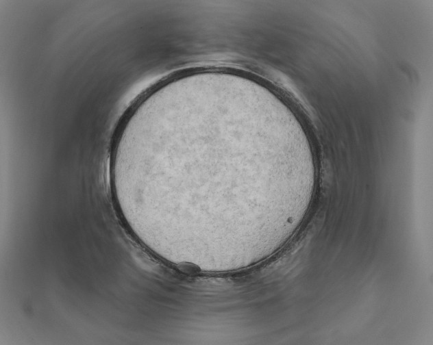 X0000111481320200908111152