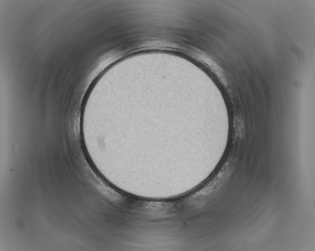 X0000111481322200908111152