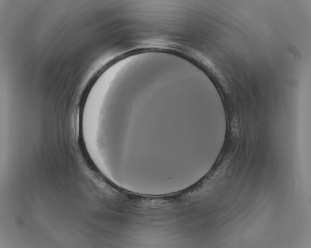 X0000111481323200908111152