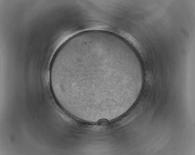 X0000111481324200908111152