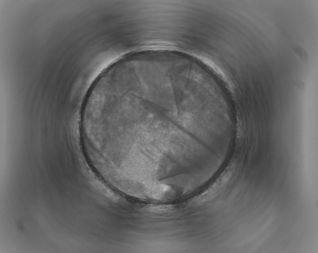 X0000111481325200908111152