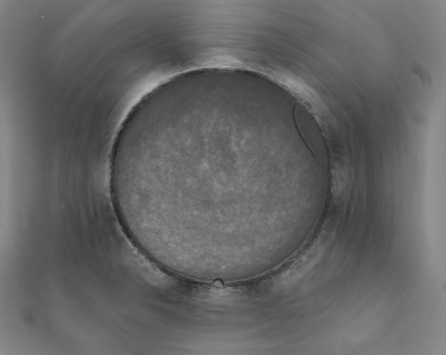 X0000111481326200908111152