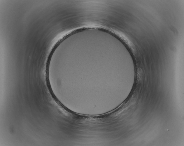 X0000111481327200908111152