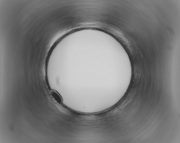 X0000111481328200908111152