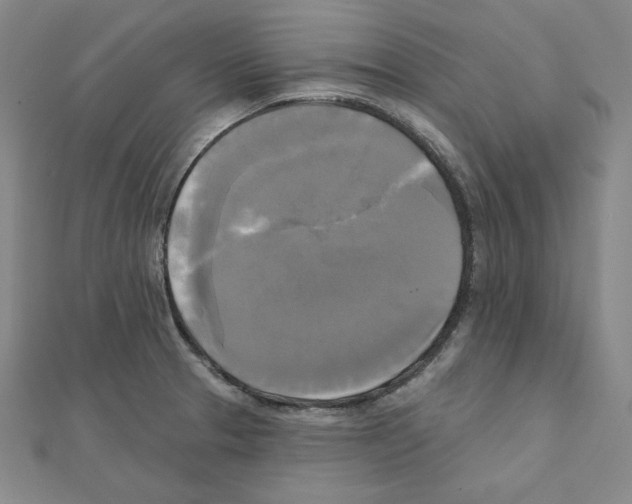 X0000111481329200908111152