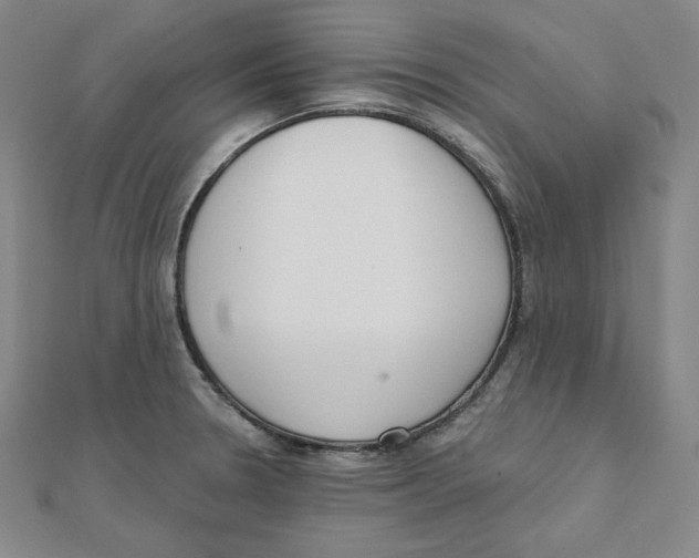 X0000111481330200908111152