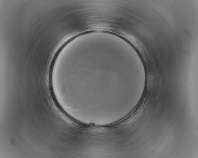 X0000111481331200908111152