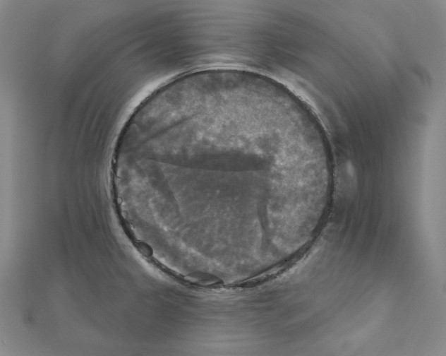 X0000111481333200908111152