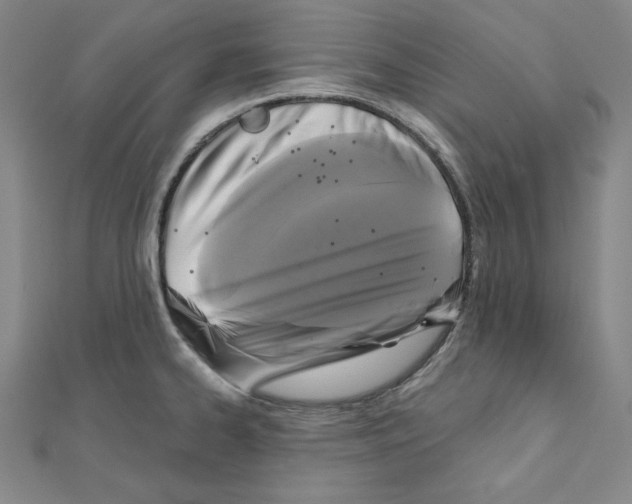 X0000111481334200908111152