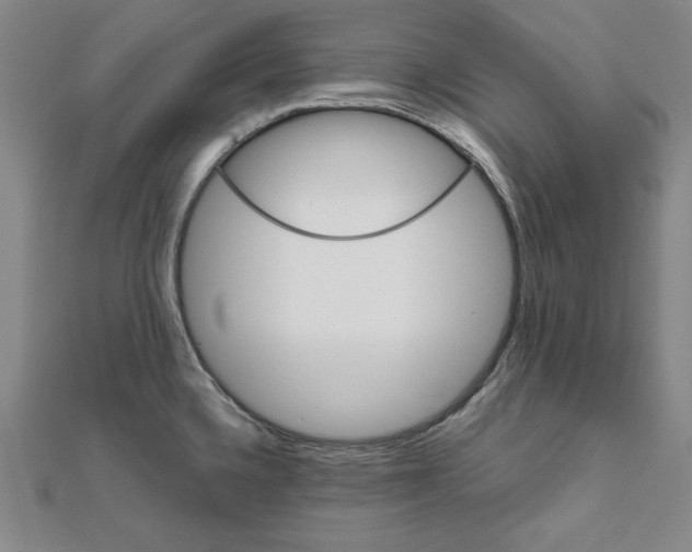 X0000111481336200908111153