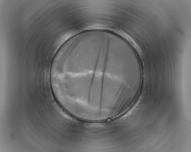 X0000111481337200908111153