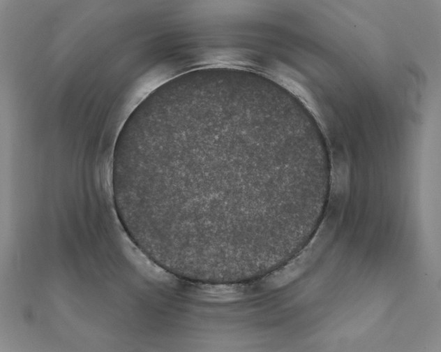 X0000111481338200908111153