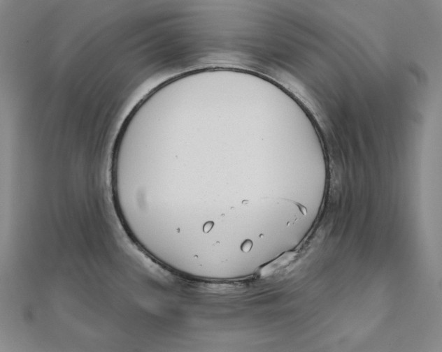 X0000111481339200908111153