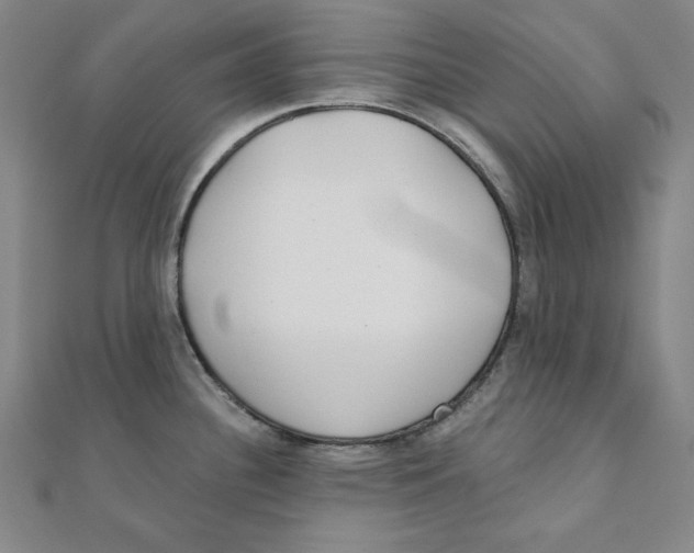 X0000111481340200908111153