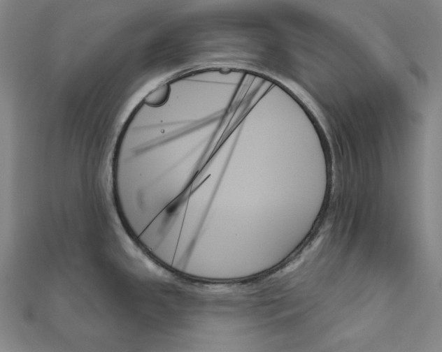 X0000111481341200908111153