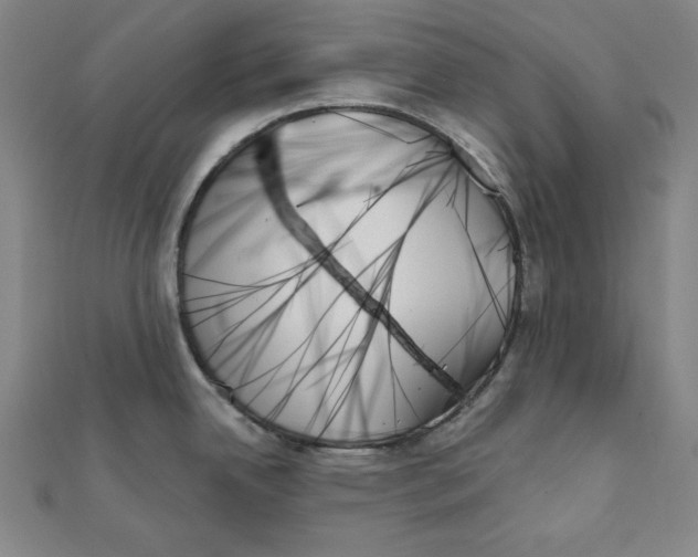 X0000111481342200908111153