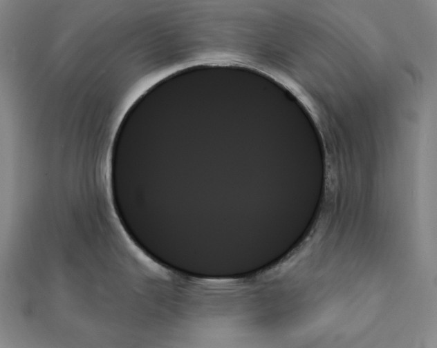 X0000111481343200908111153