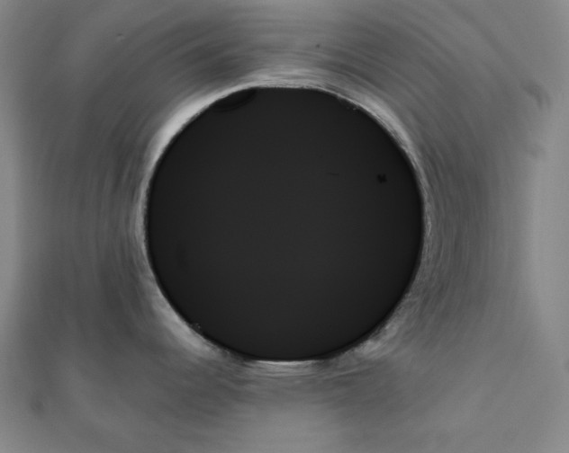 X0000111481344200908111153